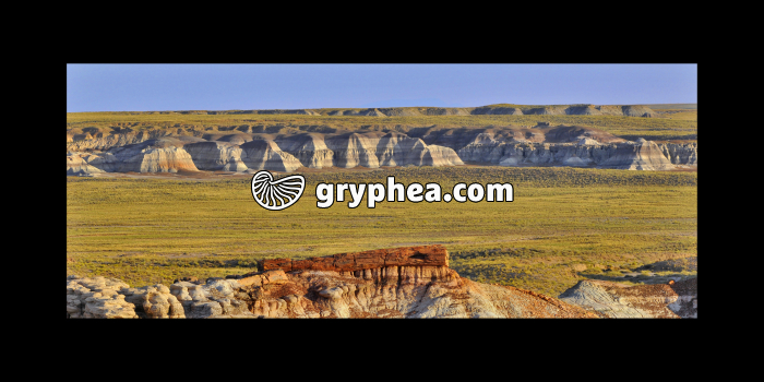 Petrified forest (Arizona, USA) - gryphea.org